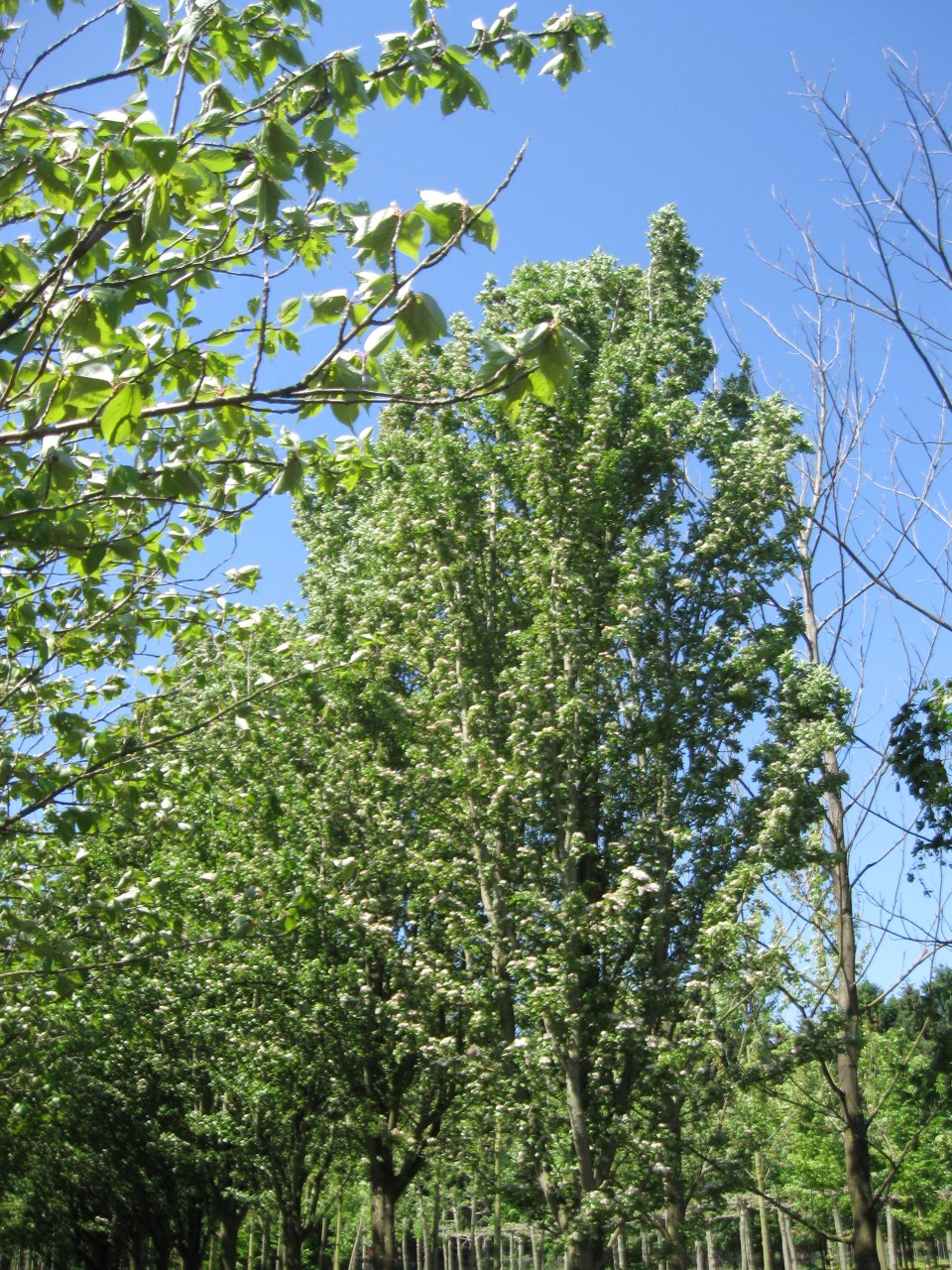 ../image/img_5461.jpg