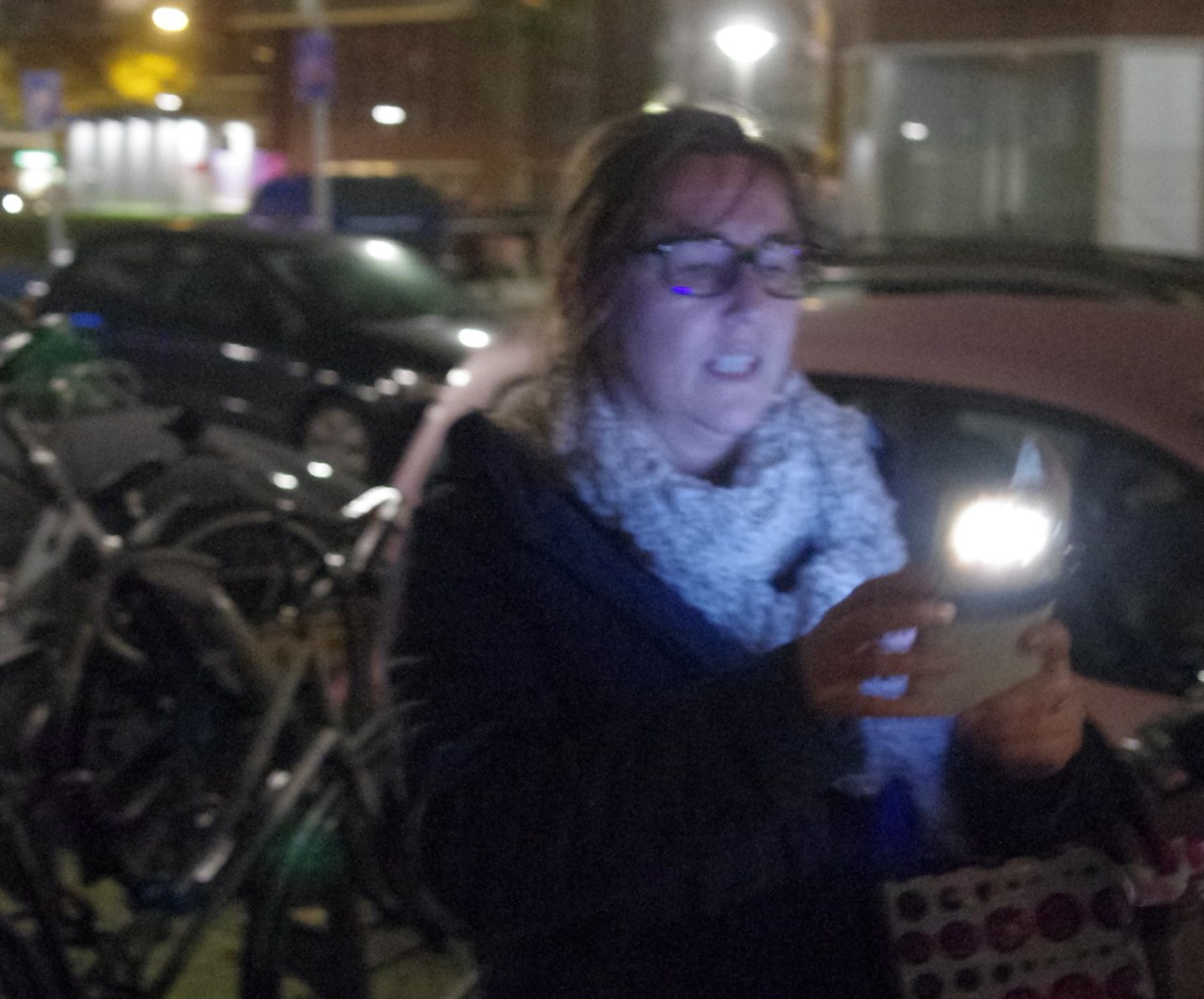 ../image/2015-11-11_17.45.58_imgp5920.jpg