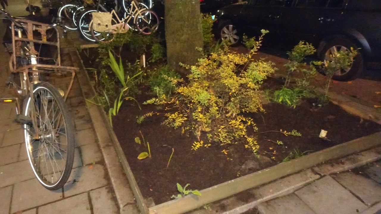 ../image/2018_11_04_19.57.38_pg08575.jpg