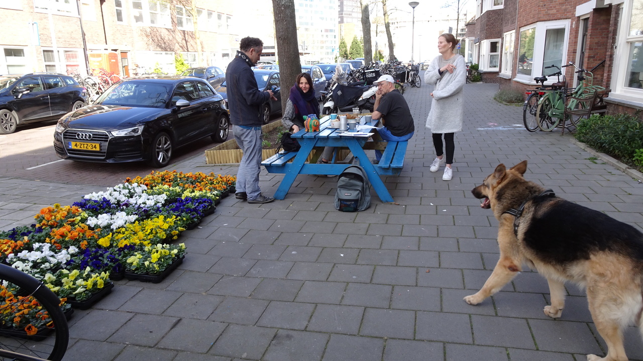 ../image/pg00014_viooltjesdag.jpg