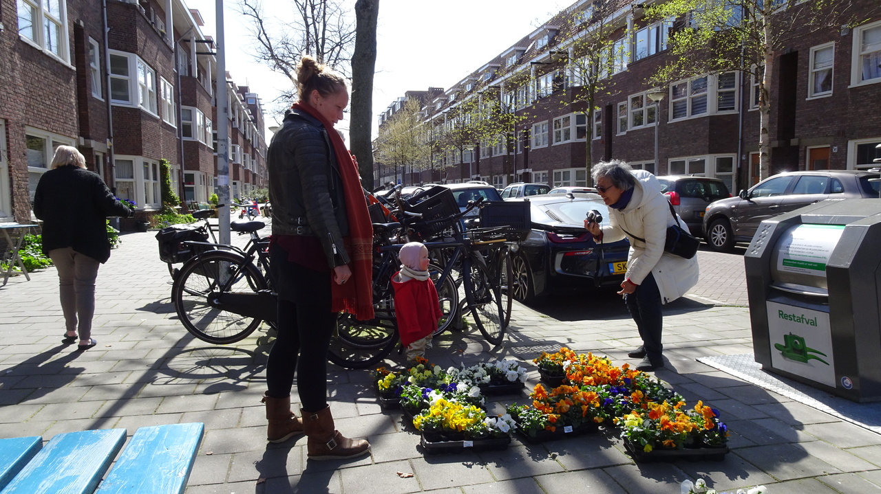 ../image/pg00029_viooltjesdag.jpg